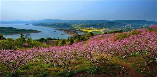 臨澧縣2018年農(nóng)村飲水安全鞏固提升管網(wǎng)配套改造項目